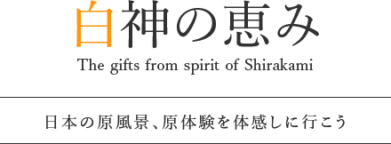 白神の恵み The gifts from spirit of Shirakami日本の原風景、原体験を体感しに行こう