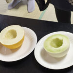 提供したメロン2種類